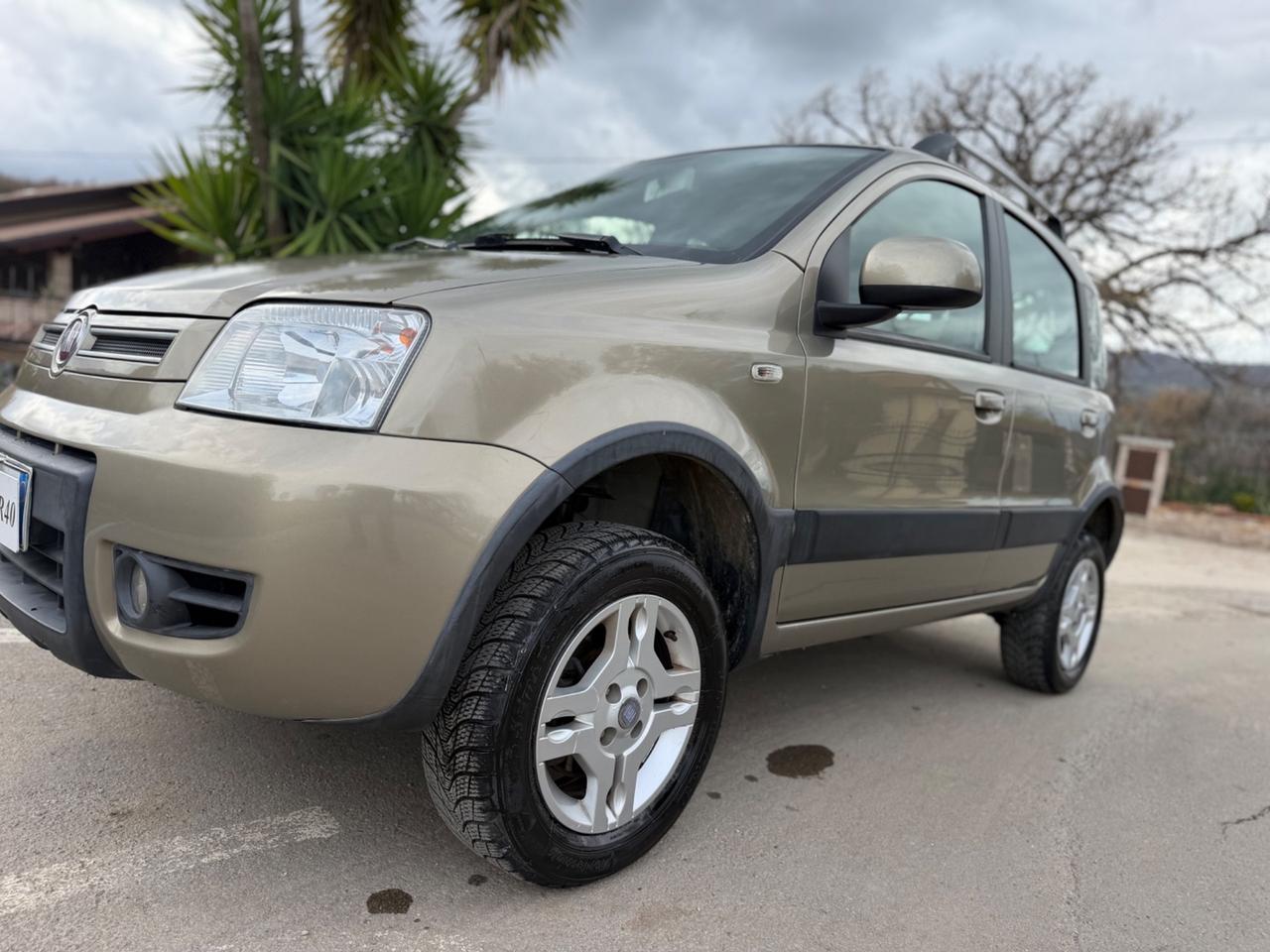 Fiat Panda 1.3 MJT 16V DPF 4x4 ELD