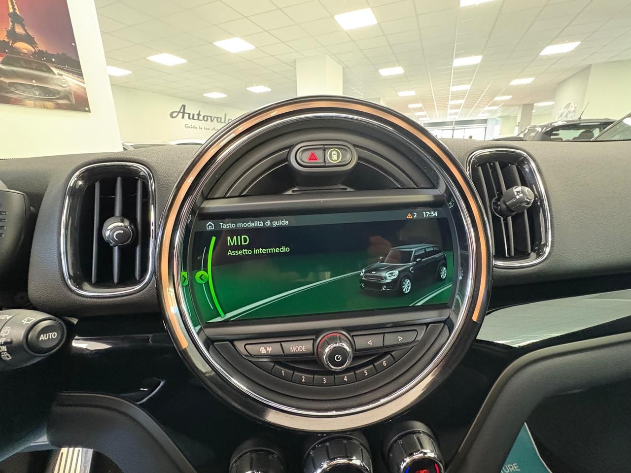 Mini Countryman ALL4 2.0 benzina 231cv 2017 TETTO