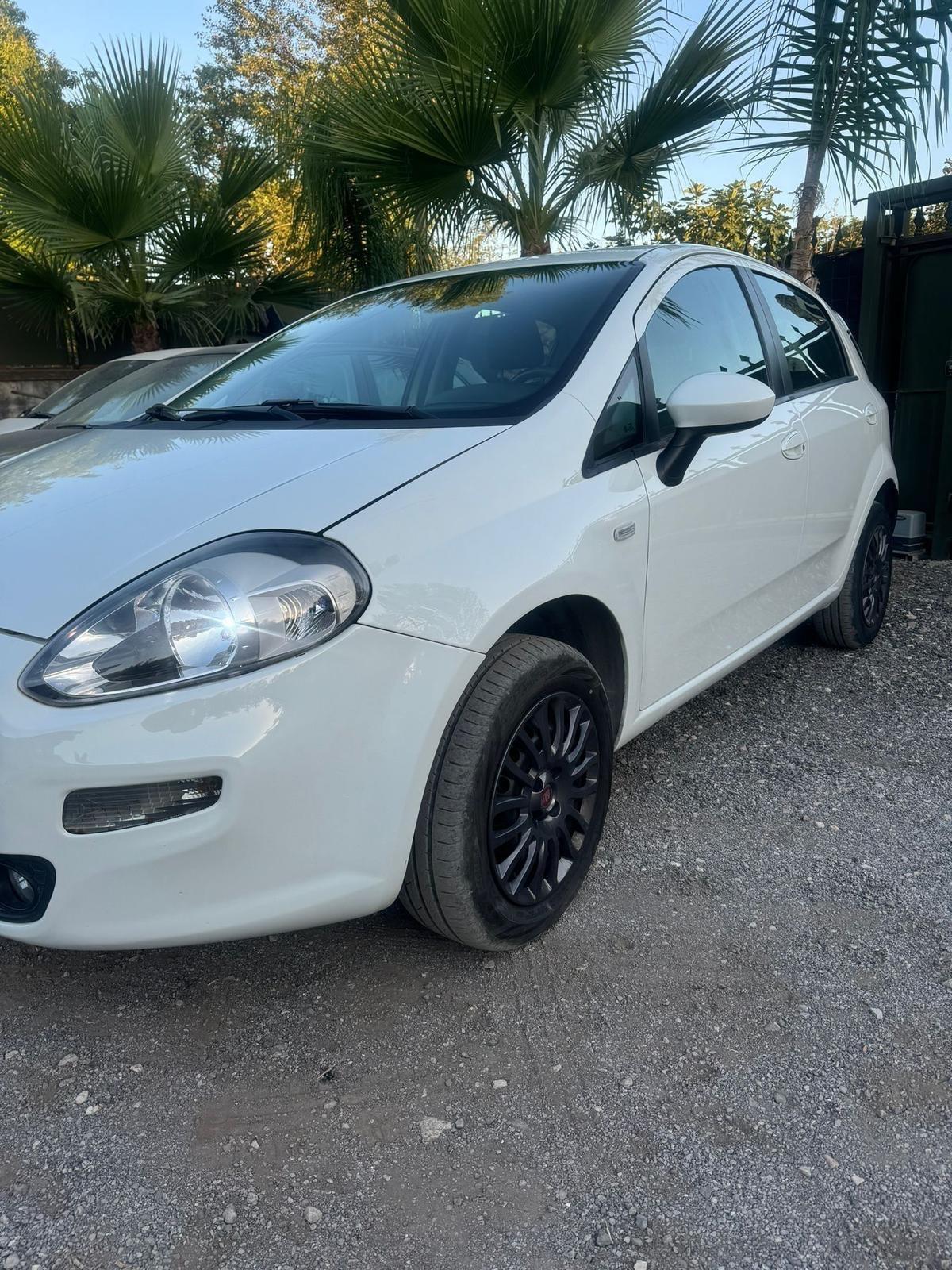 Fiat Punto 1.4 8V 5 porte Natural Power Easy