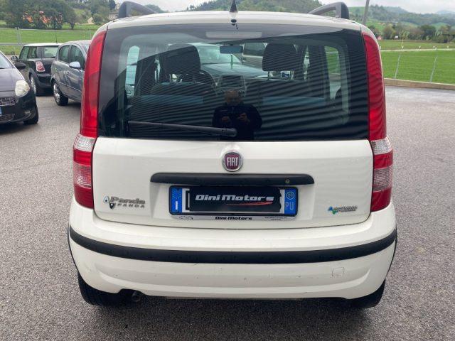 FIAT Panda 1.2 Dynamic Natural Power METANO OK NEOPATENTATO