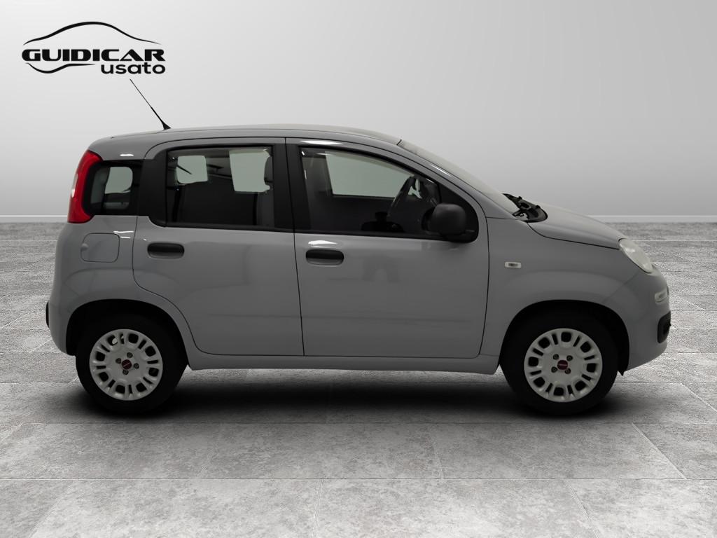 FIAT Panda III 2016 - Panda 1.2 Easy s&s 69cv my19