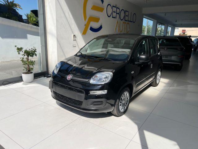 FIAT Panda 1.0 FireFly S&S Hybrid Icon tua da ?149,,00