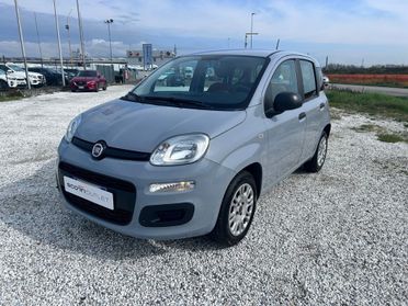 FIAT Panda III 2016 - Panda 1.2 Easy s&s 69cv my19