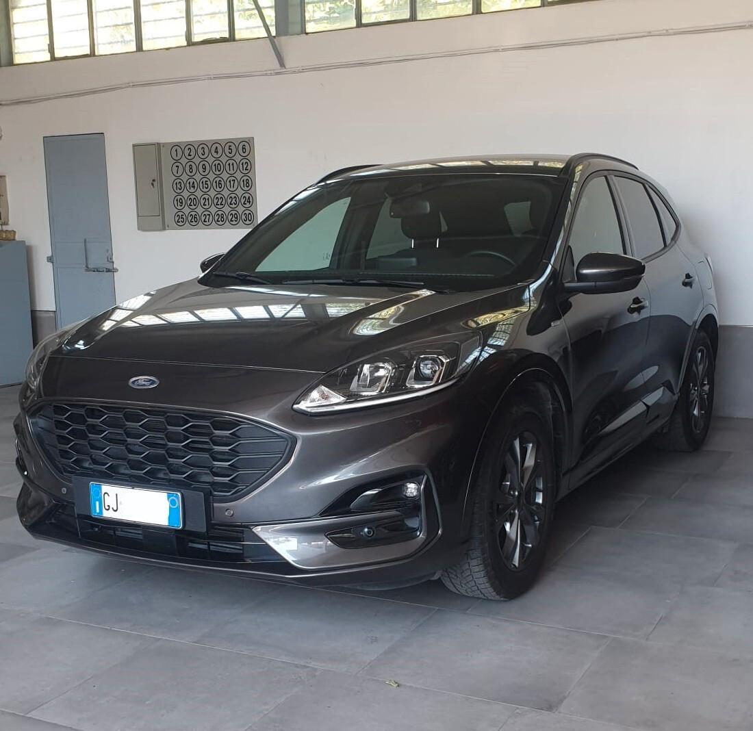 Ford Kuga 1.5 EcoBlue 120 CV 2WD ST-Line