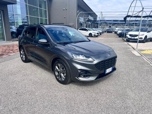 FORD Kuga 2.0 EcoBlue 120 CV aut. 2WD ST-Line