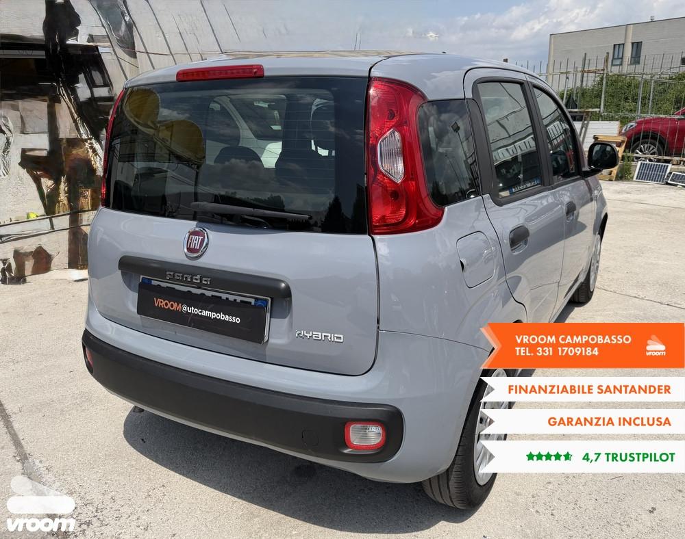 FIAT Panda 3ª serie Panda 1.0 FireFly S&S Hybrid