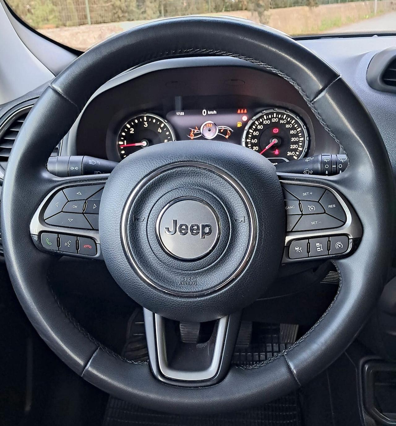 Jeep Renegade 1.6 Mjt 130 CV Limited (IVA esposta)