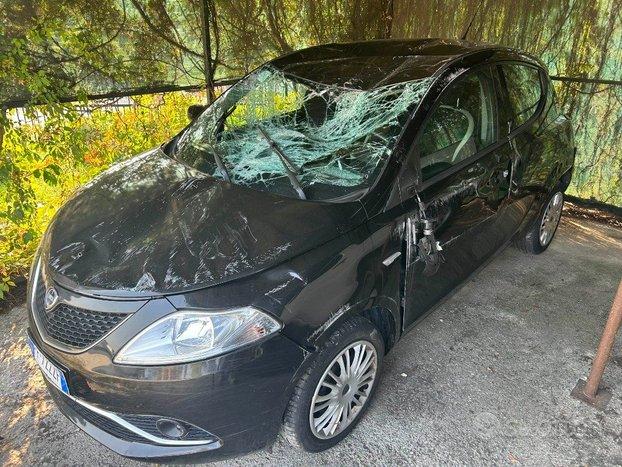 LANCIA Ypsilon 1.2 69 CV 5 porte Gold