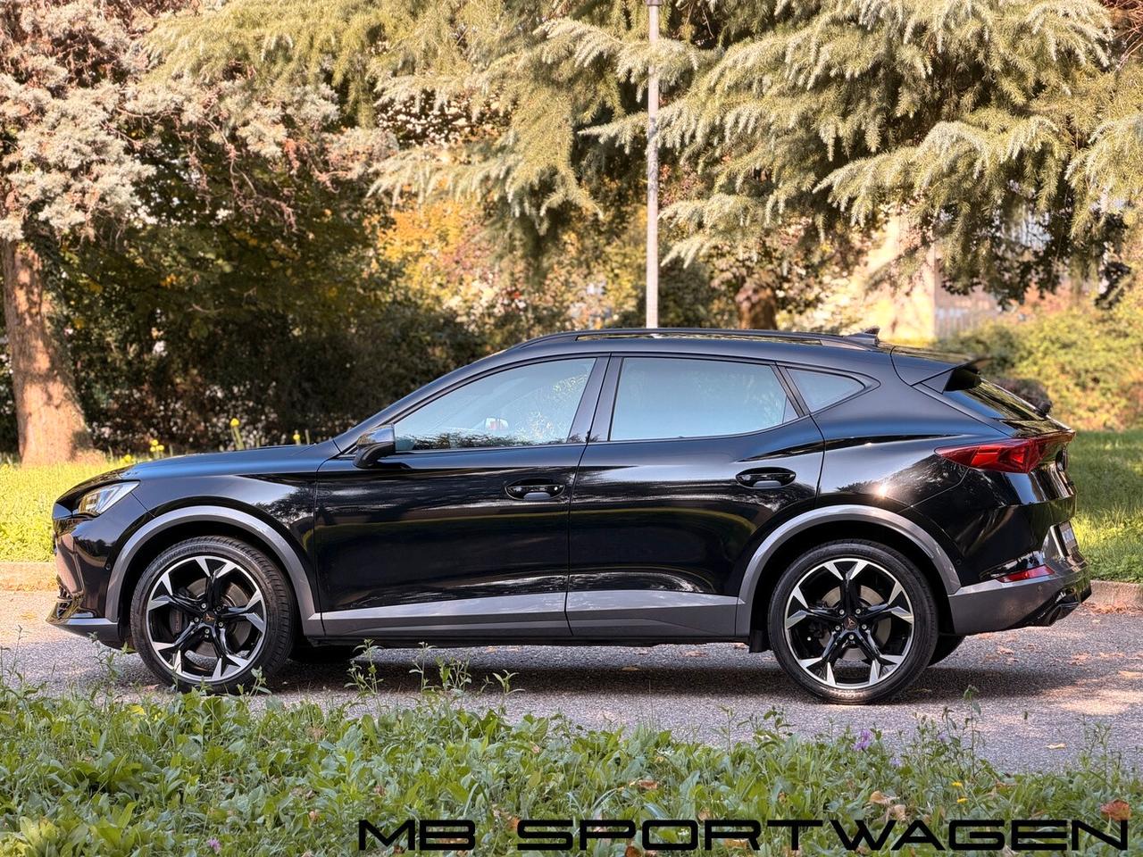 CUPRA FORMENTOR 2.0 TSI 245 CV DSG