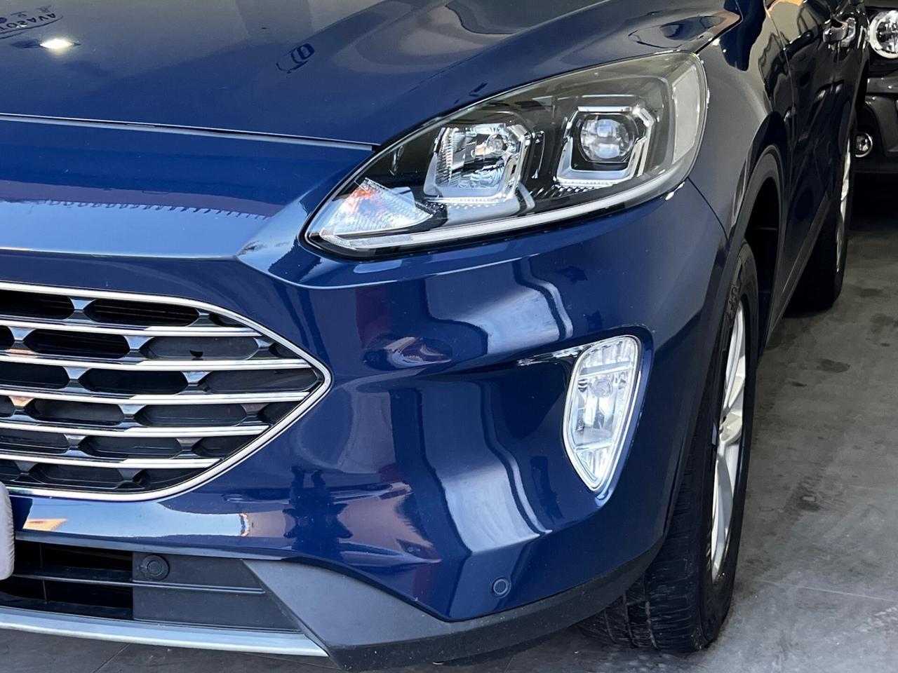 Ford Kuga 1.5 EcoBlue 120 CV aut. 2WD Titanium Business