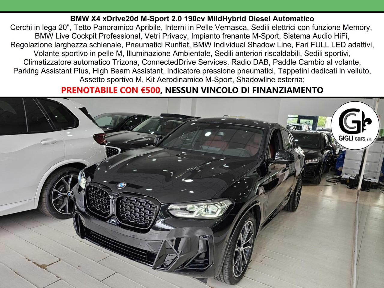 BMW X4 XDrive20d M-Sport C20" TETTO Navi CAM LED Clima3Z