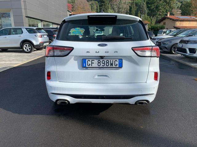 FORD Kuga 1.5 EcoBlue 120 CV 2WD ST-Line