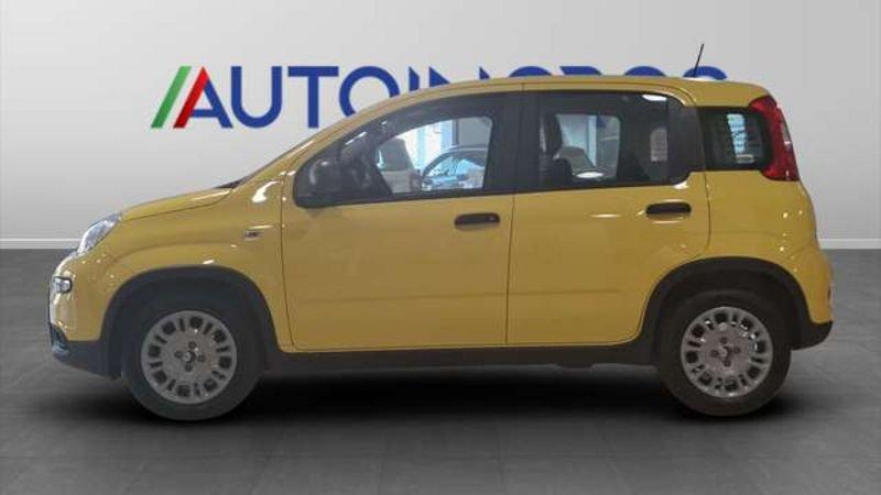 FIAT Panda 1.0 firefly hybrid s&s 70cv 5p
