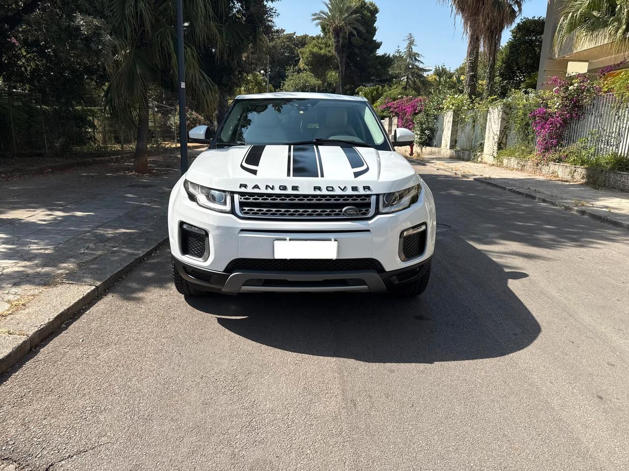 Land Rover Range Evoque 2.0 eD4 5p. Business Edition Premium Pure