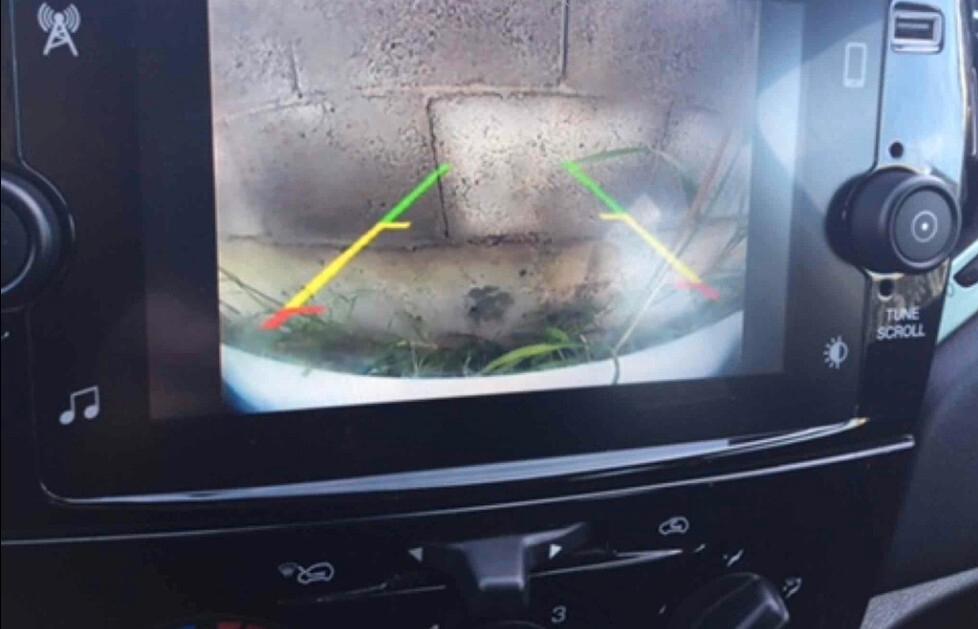 Lancia Ypsilon 1.0 FireFly 5 porte S&S Hybrid Gold