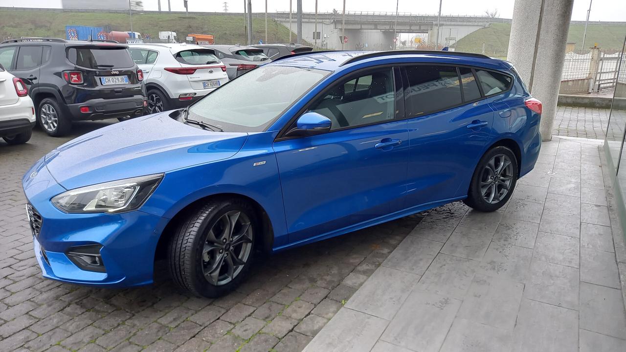 Ford Focus 1.5 EcoBlue 120 CV automatico SW ST-Line Co-Pilot