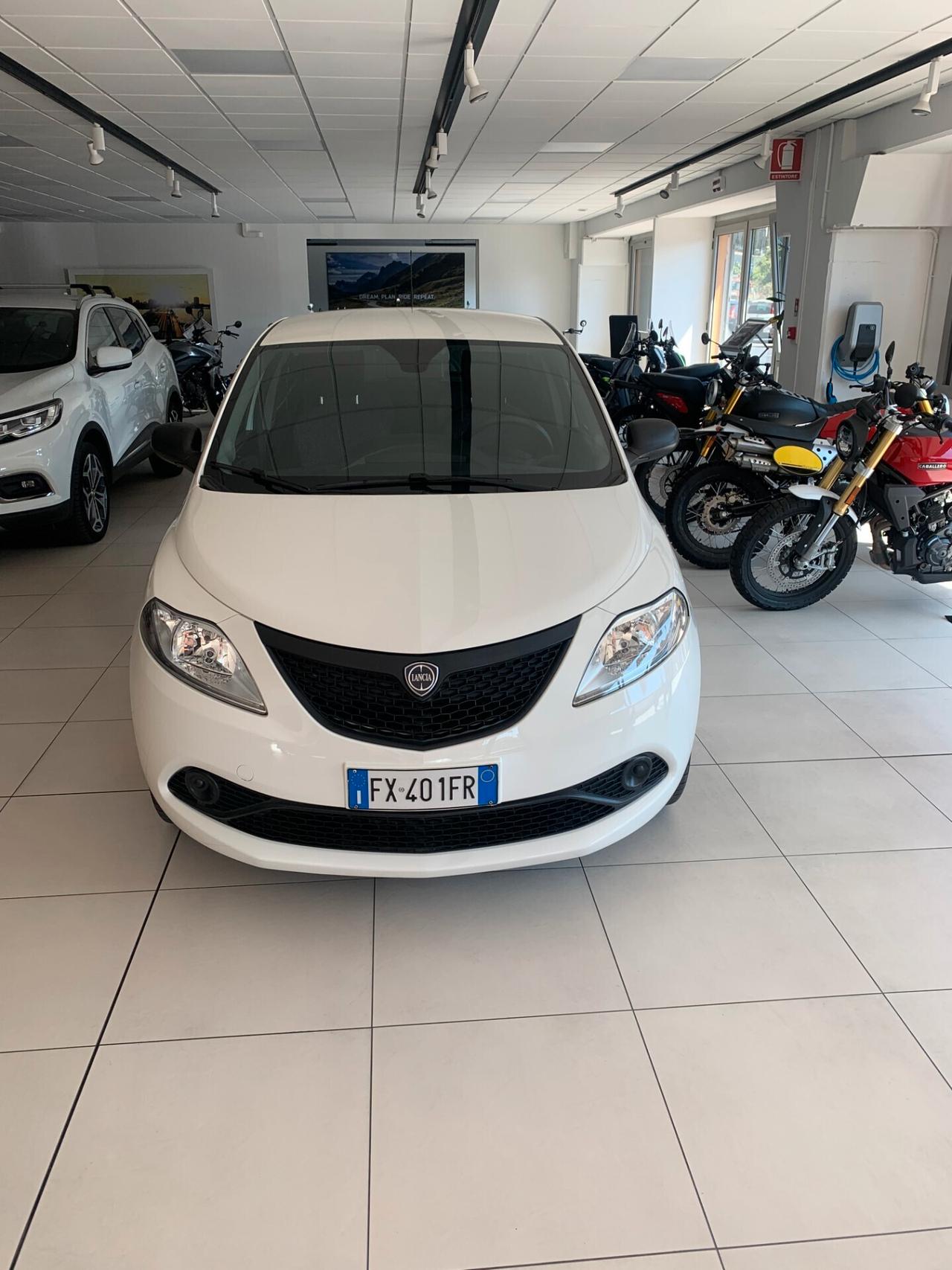 Lancia Ypsilon 1.2 69 CV S&S Elefantino Blu