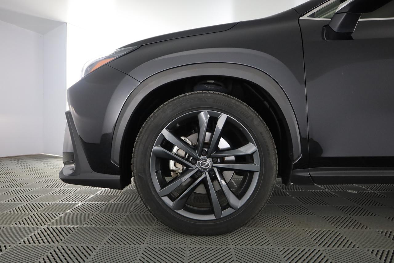 LEXUS NX 2ª serie NX Hybrid 4WD Premium +