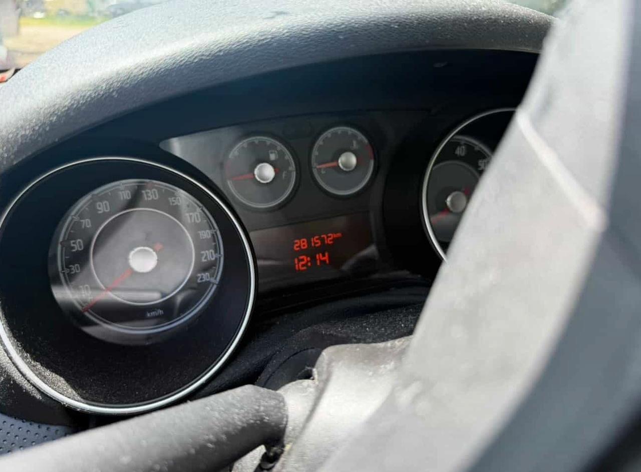 Fiat Punto Evo 1.3 Mjt 75 CV 5 porte