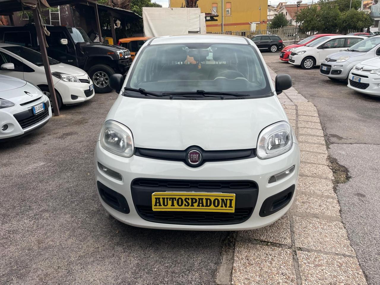 Fiat Panda 1.2 Lounge E6 NEOPATENTATI