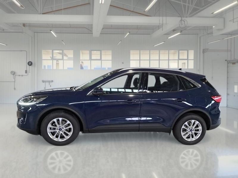 FORD KUGA 1.5 EcoBlue 120CV 2WD Titanium Business Auto