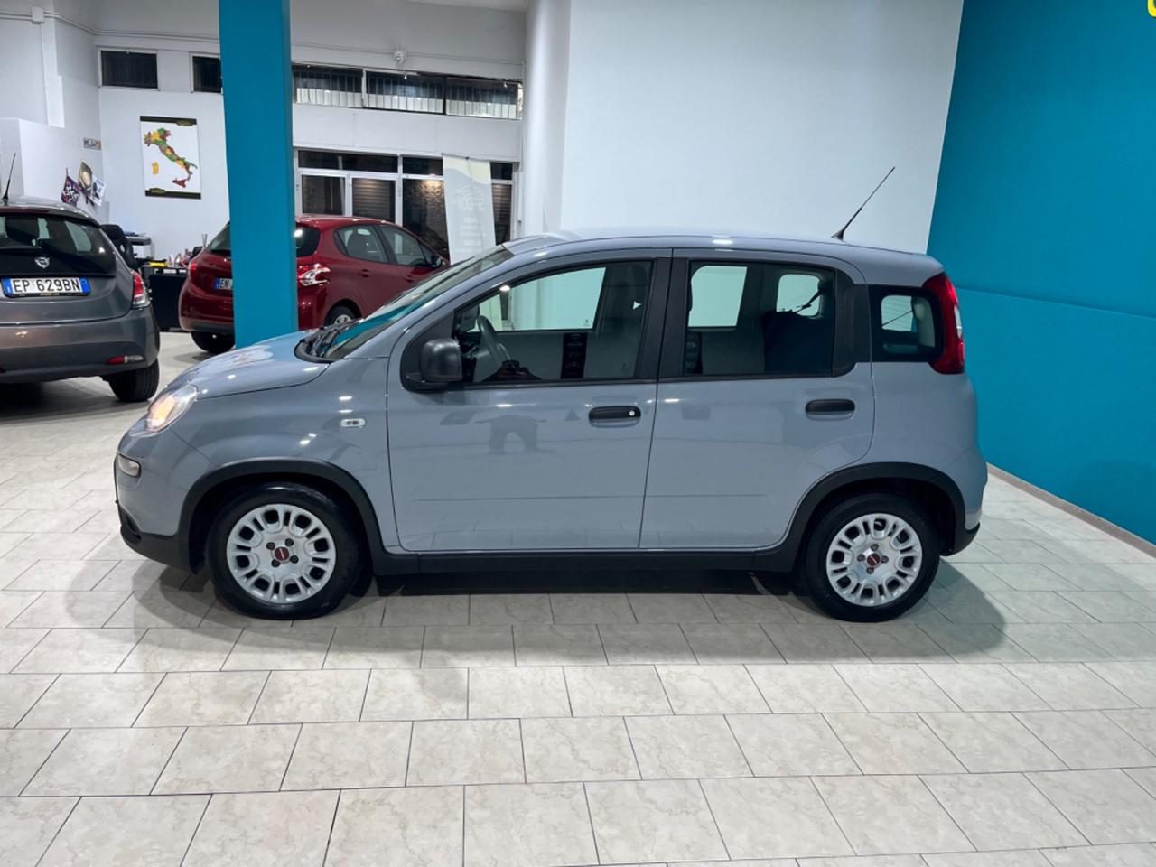 FIAT PANDA 2022 *KM CERTIFICATI *OK NEOPATENTATI