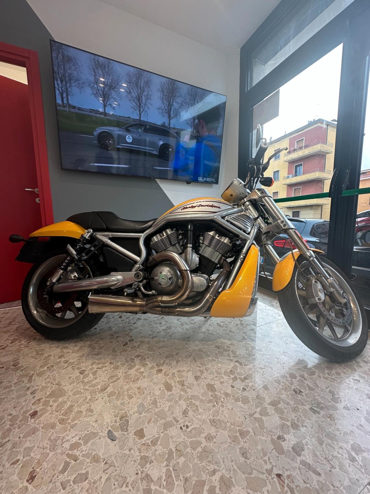 HARLEY-DAVIDSON V-ROD