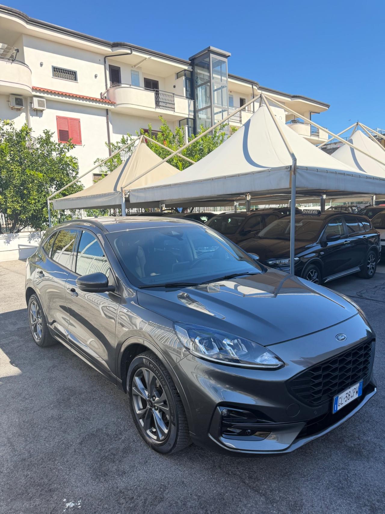 Ford Kuga 1.5 EcoBlue 120 CV 2WD ST-Line KM CERTIFICATI IN FATTURA
