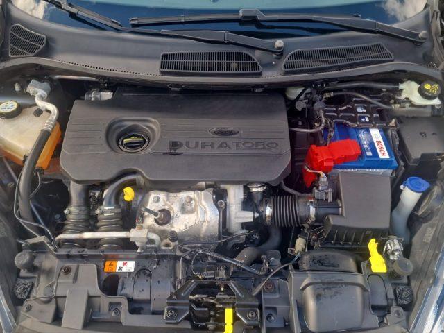 FORD Fiesta 1.5 TDCi 75CV 5 porte Business