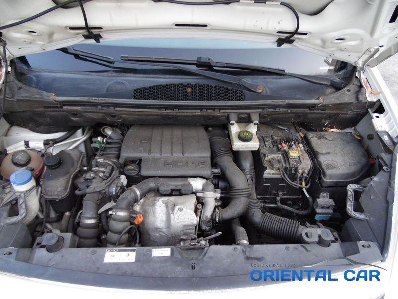Citroën Berlingo 1600 hdi van 3 POSTI TRASPORTO CANI / ANIMALI