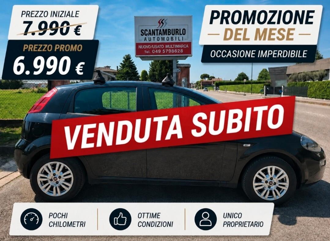 Fiat Punto 1.2 8V 5 porte Lounge