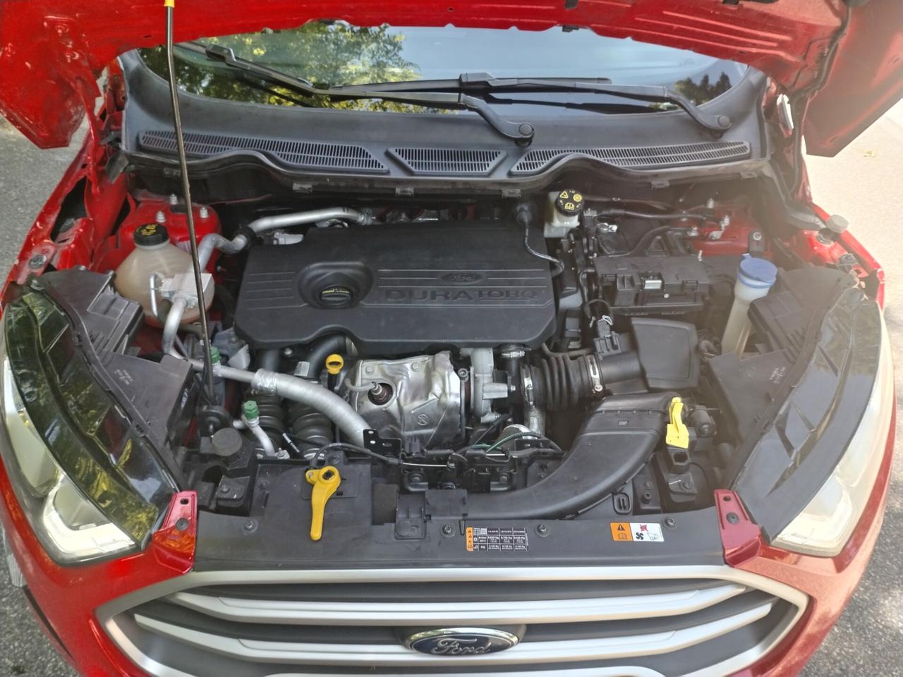 Ford EcoSport 1.5 TDCi 95 CV Incidentata/Sinistrata