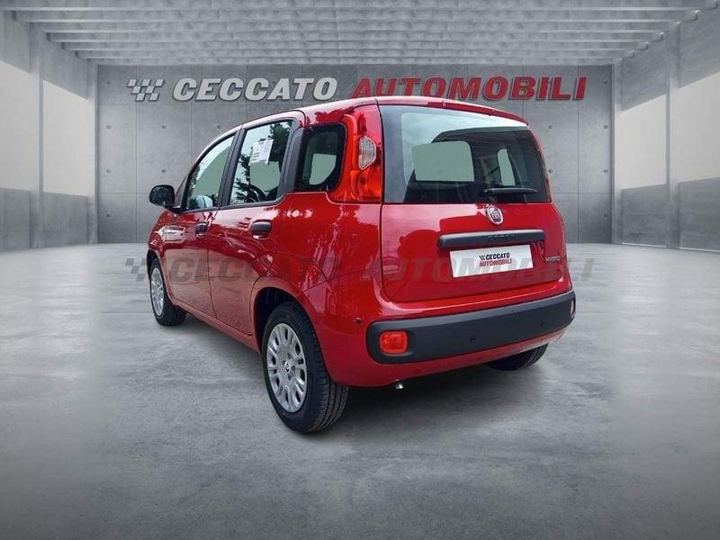 FIAT Panda Panda 1.0 firefly hybrid s&s 70cv