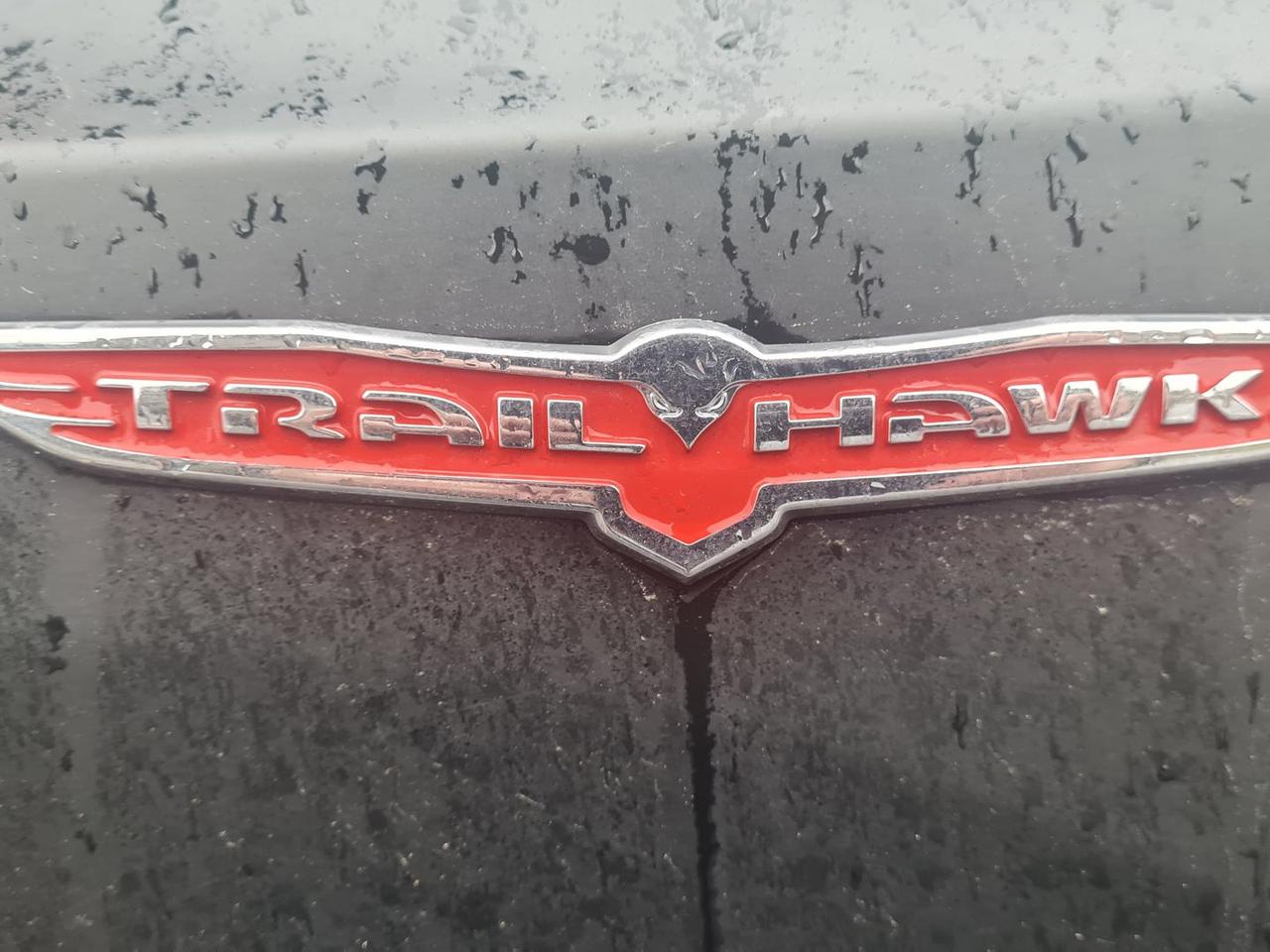 Jeep Renegade 2.0 Multijet Trailhawk #8044