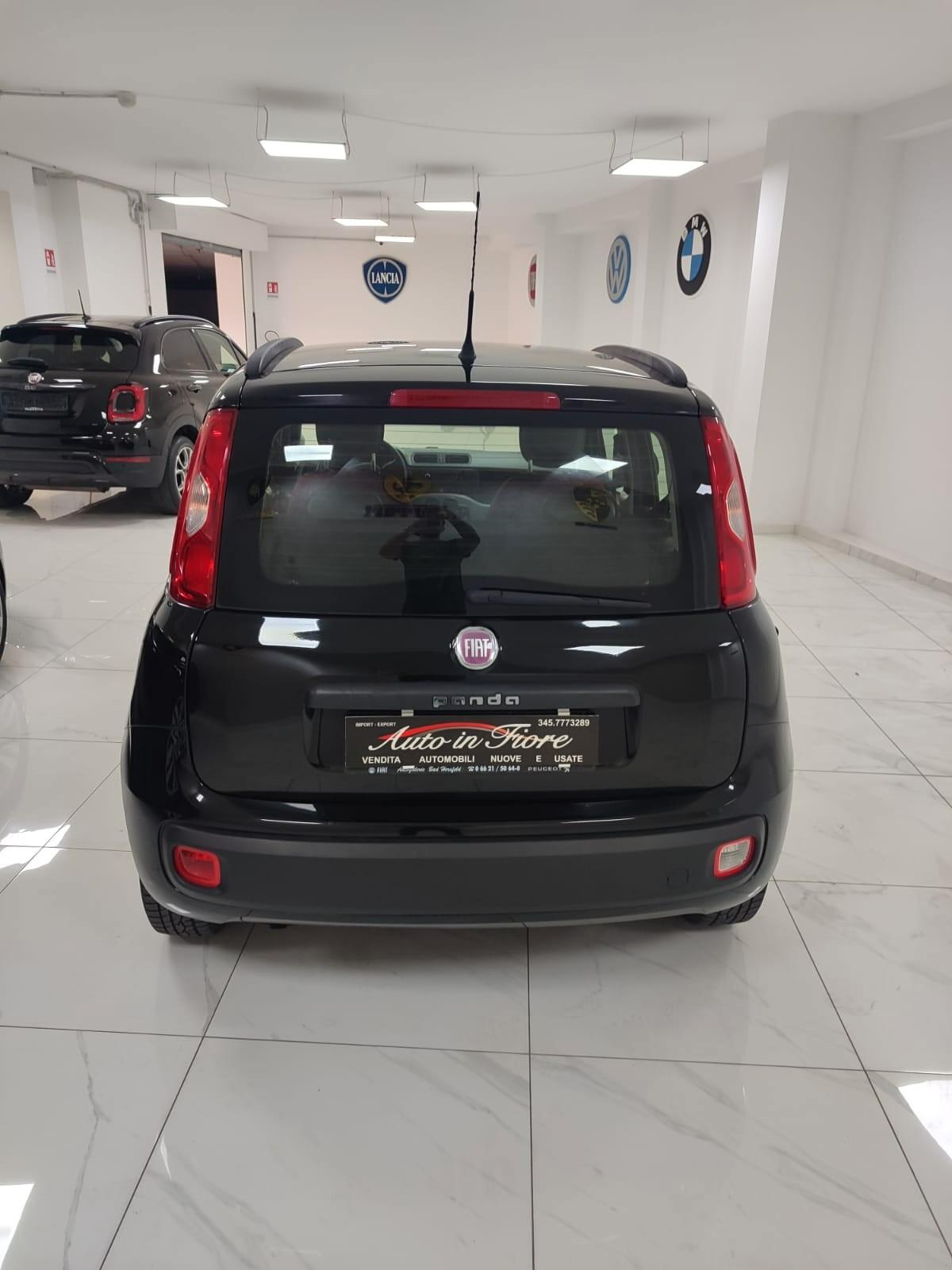 FIAT PANDA 1.2 BENZINA USATO GARANTITO