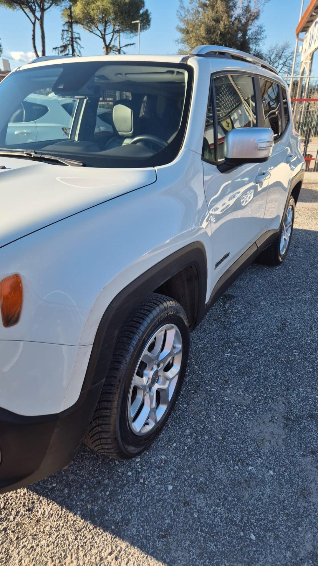 Jeep Renegade 2.0 Mjt 170CV 4WD Active Drive Low Trailhawk