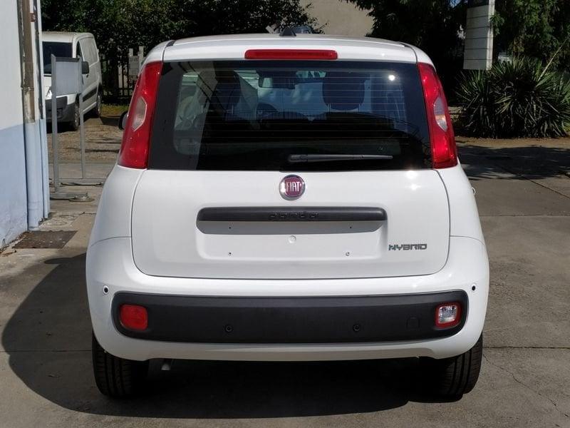 FIAT Pandina 65 Pandina hybrid Icon Promo CBC 5