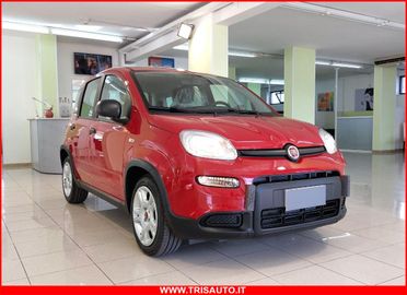 FIAT Panda 1.0 FireFly S&S Hybrid MY24 KM ZERO!!! IVATA NEOPATENTATI