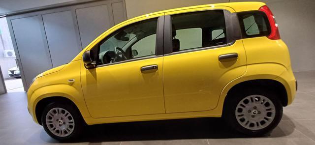 FIAT Panda 1.0 FireFly S&S Hybrid ICON