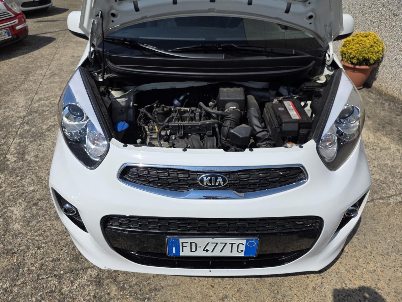 Kia Picanto 1.0 12V Stop&Go 5 porte High Tech