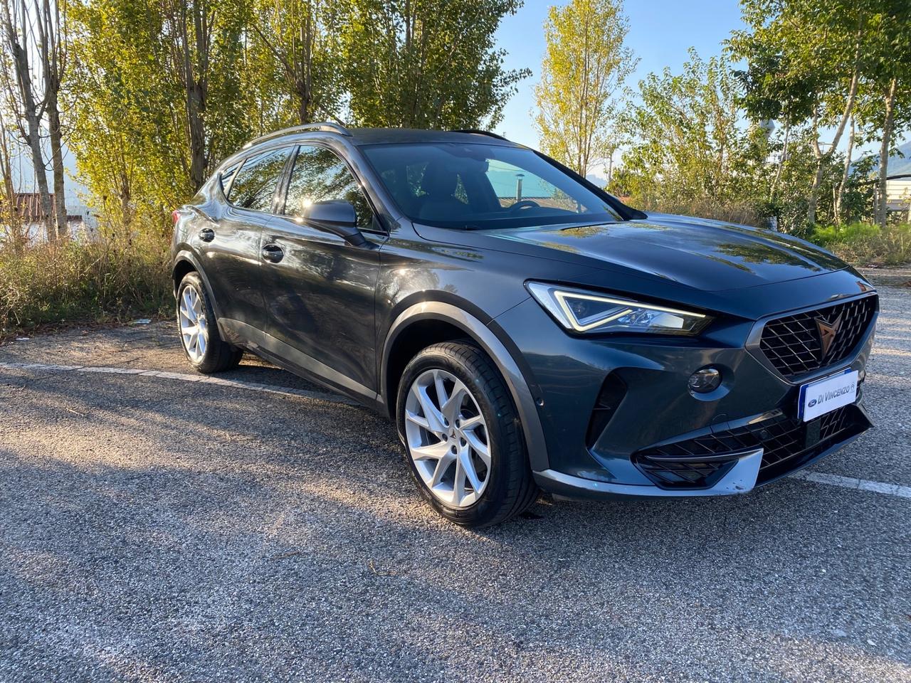 Cupra Formentor 2.0 TDI