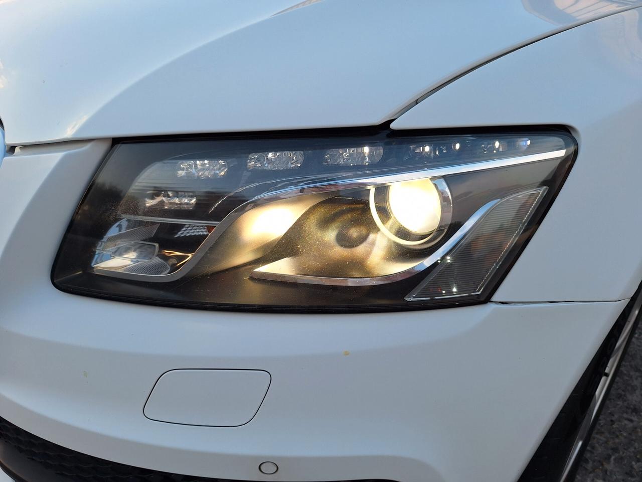 Q5 2.0 TDI 170 CV quattro S tronic Advanced Plus LED CRUIS PELLE NAV
