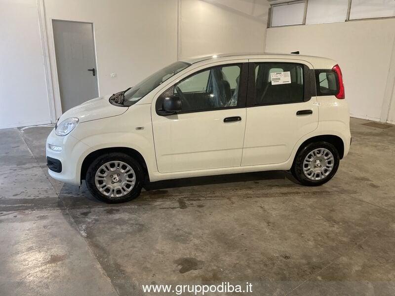 FIAT Panda 1.0 70cv Hybrid Panda