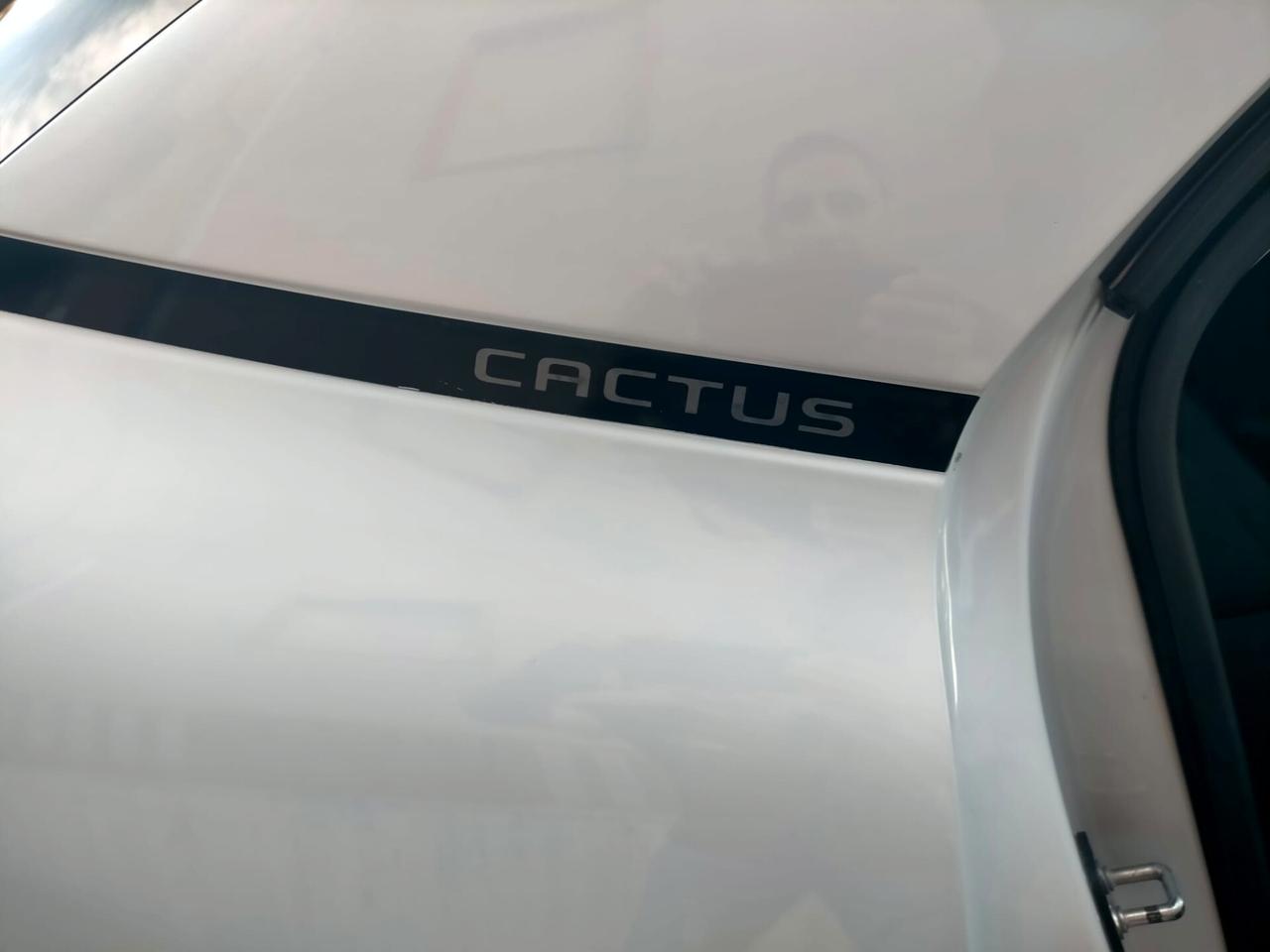 Citroen C4 Cactus BlueHDi 100 S&S Shine