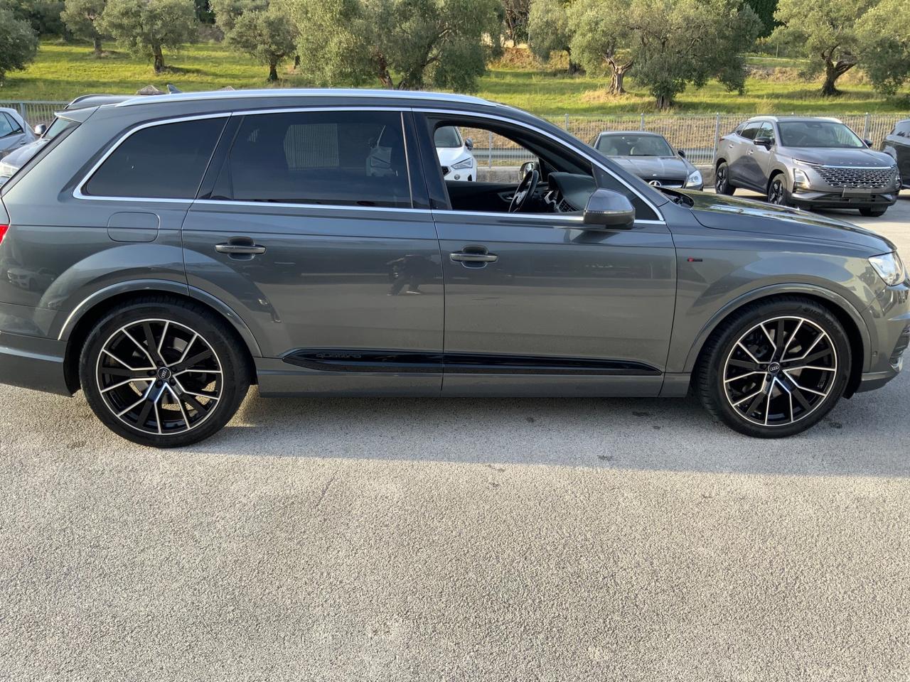 Audi Q7 3.0 TDI 272 CV quattro tiptronic Business Plus S LINE.TETTO.7POSTI.RUOTE POST STERZANTI