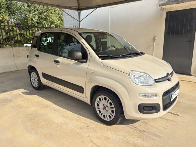 FIAT Panda 1.2 Lounge 5 POSTI EURO 6 OK NEOPATENTATI