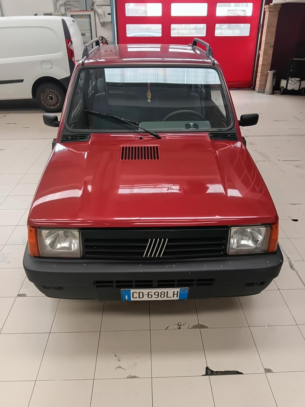 Fiat Panda 1100 i.e. cat Young
