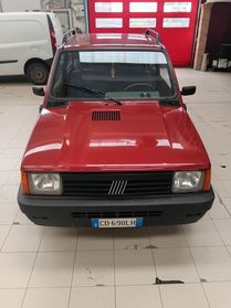 Fiat Panda 1100 i.e. cat Young