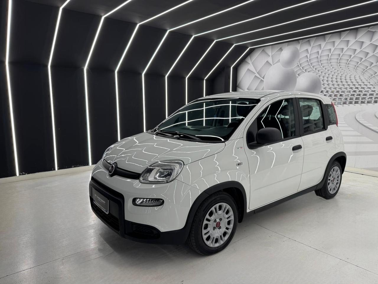 Fiat Panda 1.0- KM CERTIFICATI-PERMUTE-12 MESI GARANZIA
