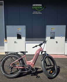BICY ELETTRICA